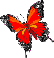 butterfly_0011.gif