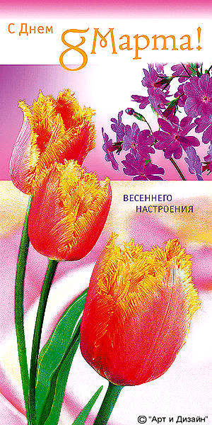 8 �����.gif