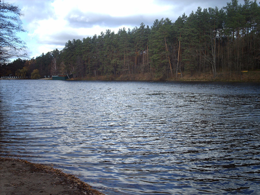 Копия IMAG2873.JPG
