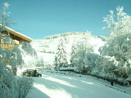 SL274881.JPG