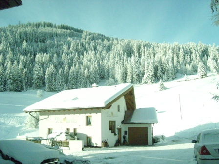 SL274884.JPG